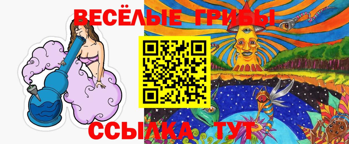 Галлюциногенные грибы прущие грибы  Вход с VPN  Ногинск 