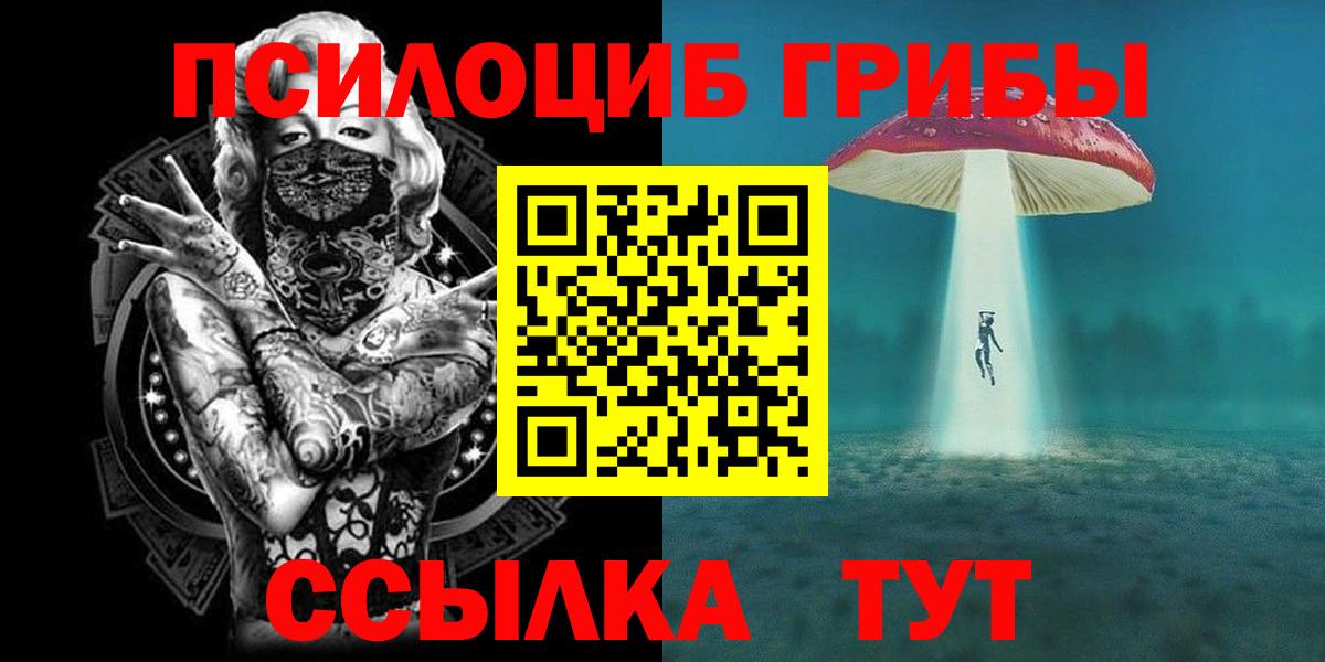 Псилоцибиновые грибы мицелий Ногинск